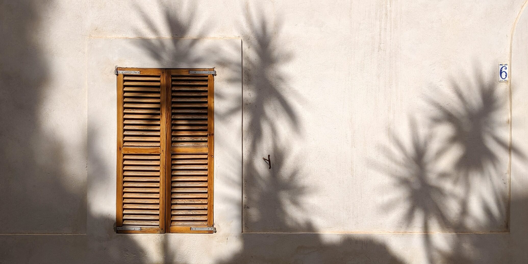 Sopravvivere all'estate